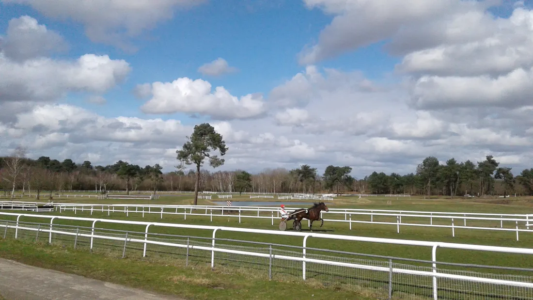 Hippisme : nos préférés pour ce dimanche 2 avril